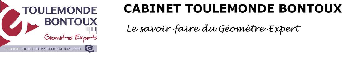 CABINET TOULEMONDE BONTOUX